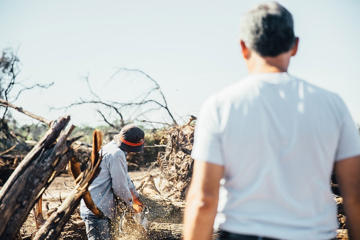 Cutting trees to make charcoal