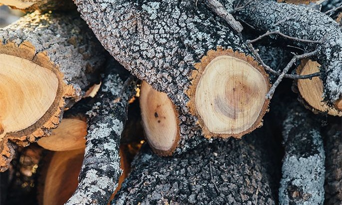 Axe-breaker hardwood logs